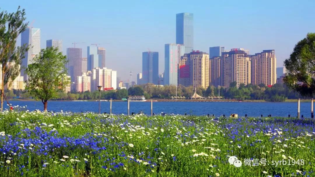 我叫沈阳,我叫沈阳话