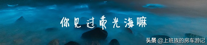 花鸟岛超详细旅游攻略,花鸟岛海岛旅行