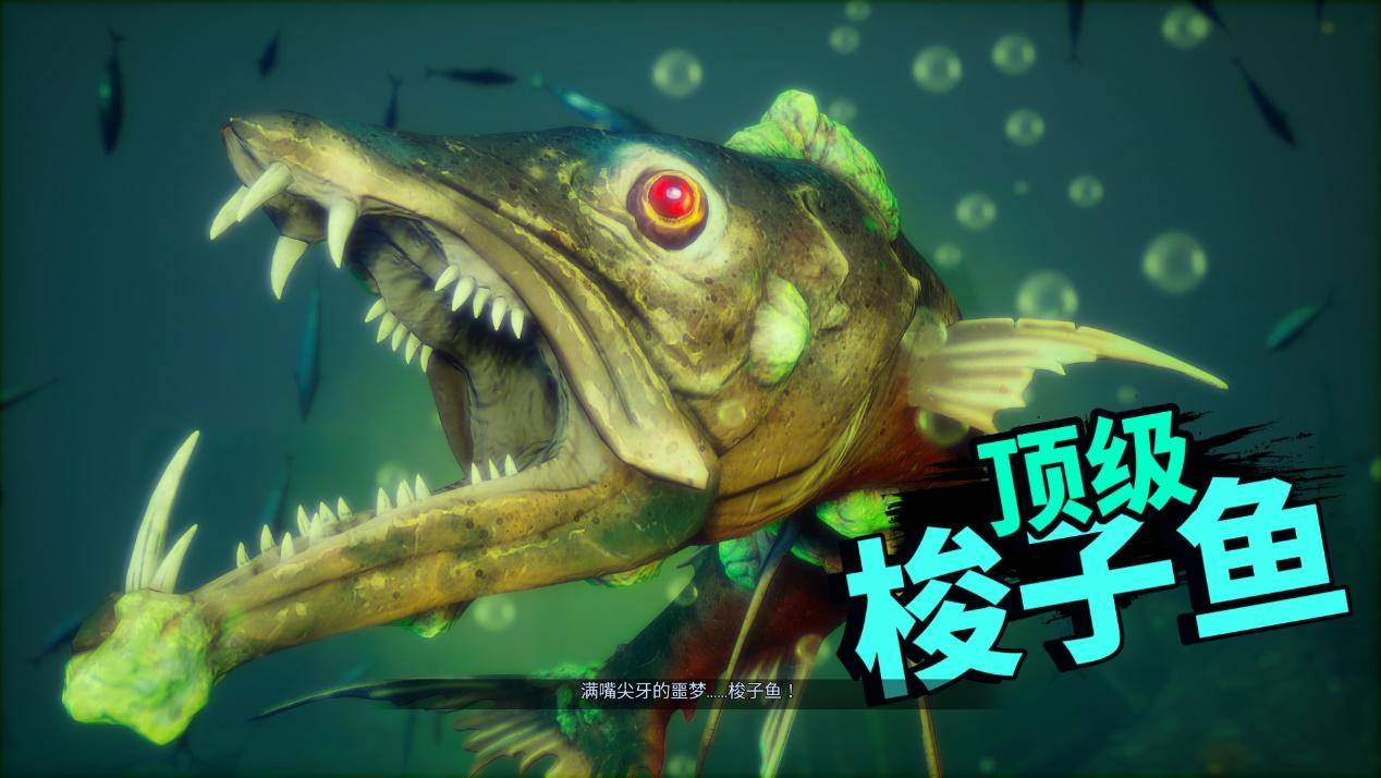 开局一条鲲进化全靠吞游戏视频,开局一只鲲进化全靠吞的游戏