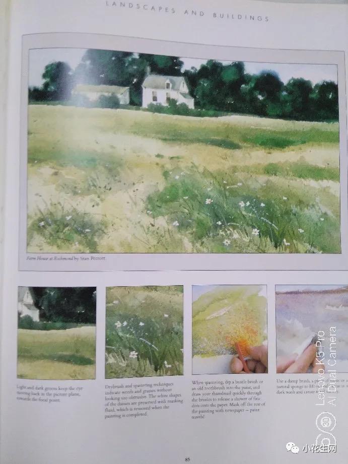 从零开始学绘画简单入门教程,从零开始学绘画必备的画