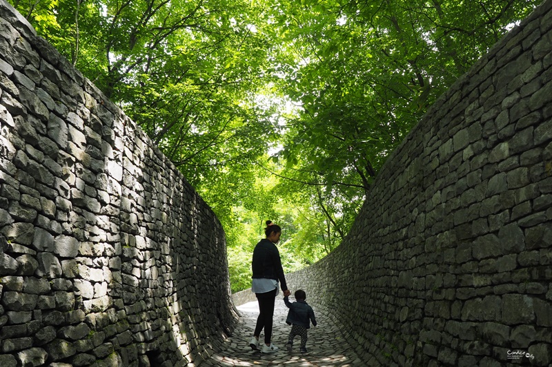 日本东京美食攻略自由行,东京旅游美食自由行路线攻略