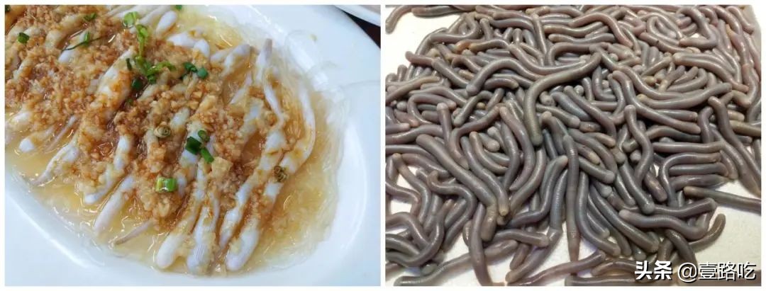 北海|报告!没遇到传销组织,只有吃不尽的海鲜美食