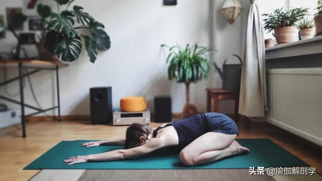 最简单的瑜伽动作初学者,最简单的瑜伽动作刚入门