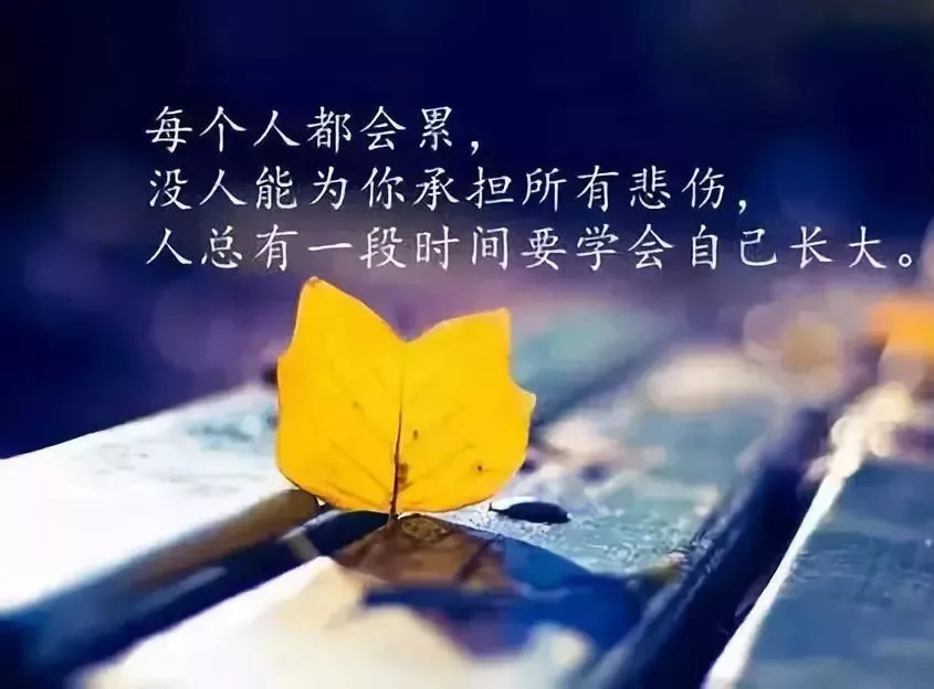 面对不公不平之事,面对不平之事要敢于发声