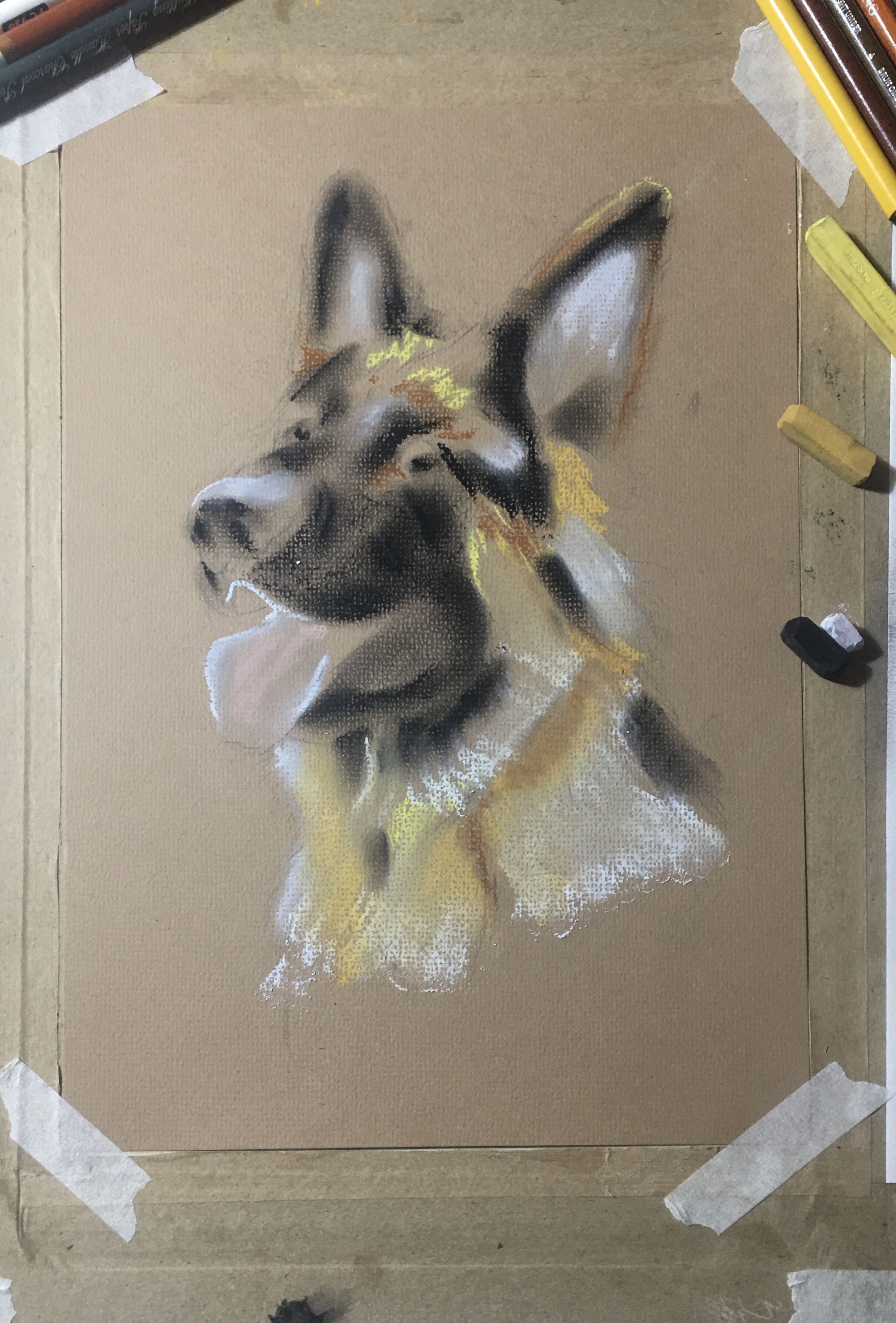 写实彩铅中华田园犬,德牧彩铅画法步骤