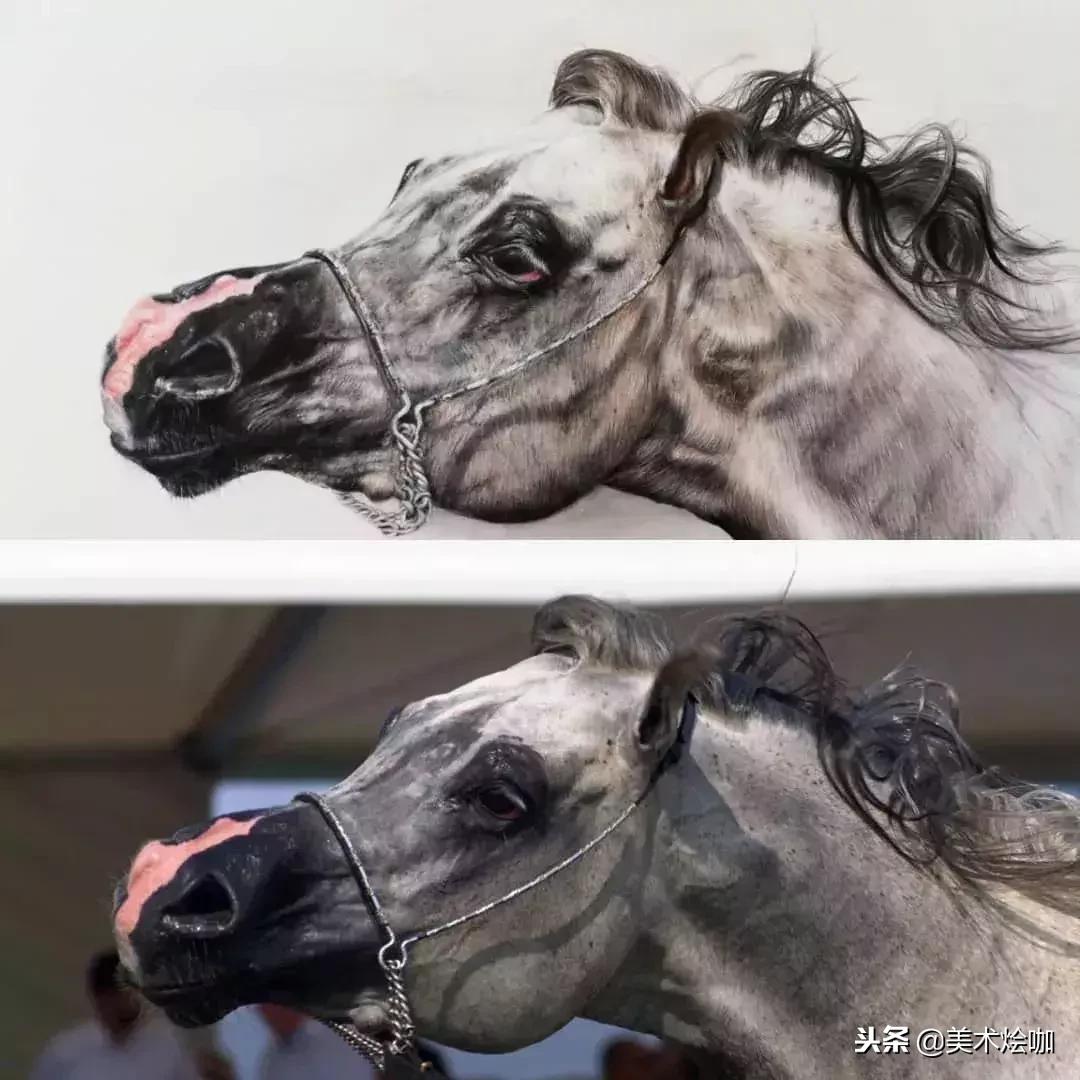 彩铅画教程超写实零基础入门,超写实彩铅画高清大图水果组合