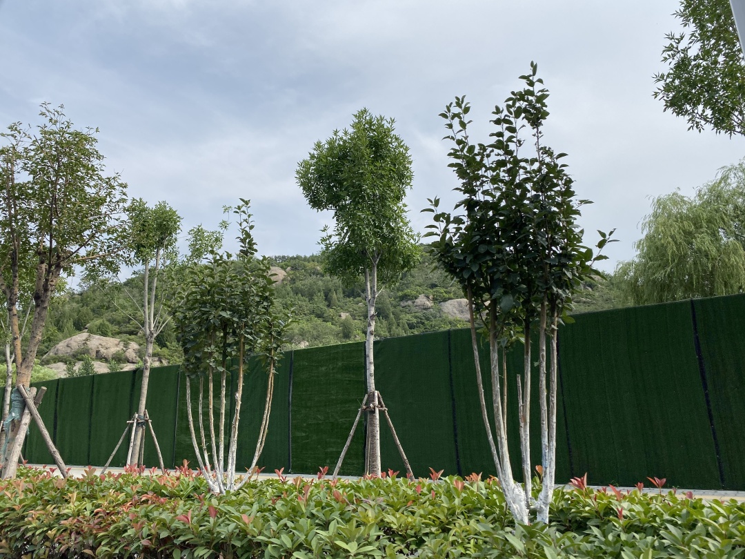 济南郭店被遗忘的地方,济南天桥徐李片区