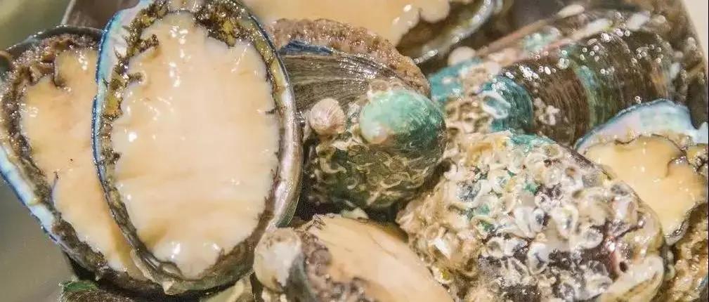 鑸屽皷涓婄殑缇庨娣卞害涔嬫梾,甯︿綘浜彈鑸屽皷涓婄殑缇庨