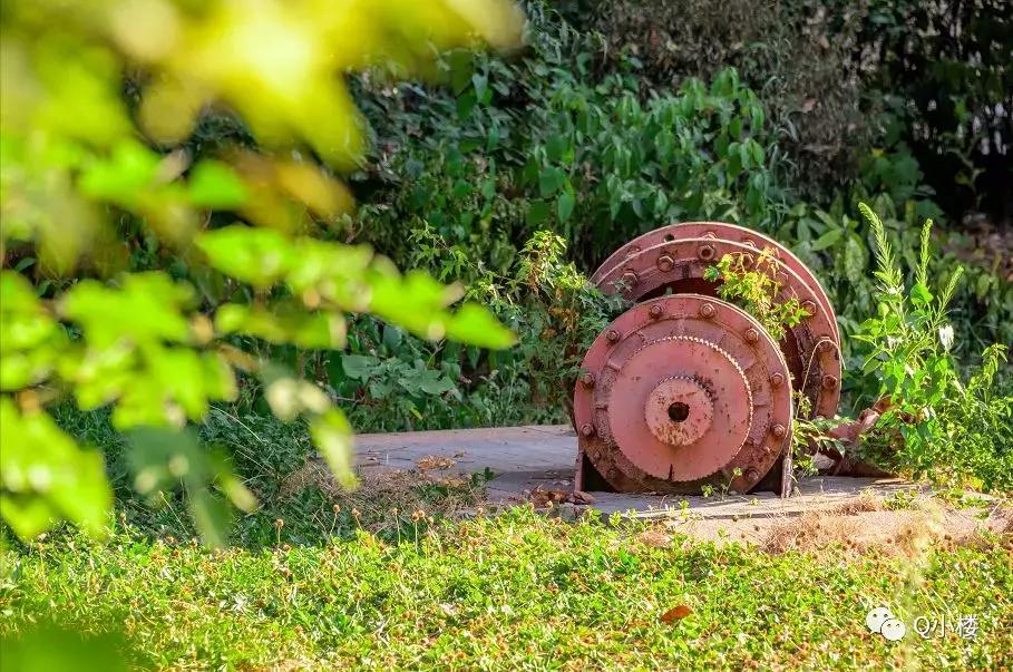 12年来，武汉地产人为何忘不了她……