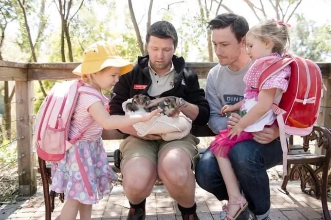 「求真」消费吓退国人的澳大利亚,竟然适合春节旅行?