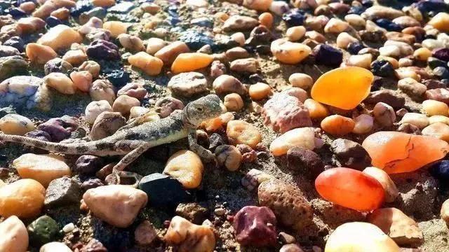 疆东和田玉籽料,和田玉分为哪些种类的石头呢