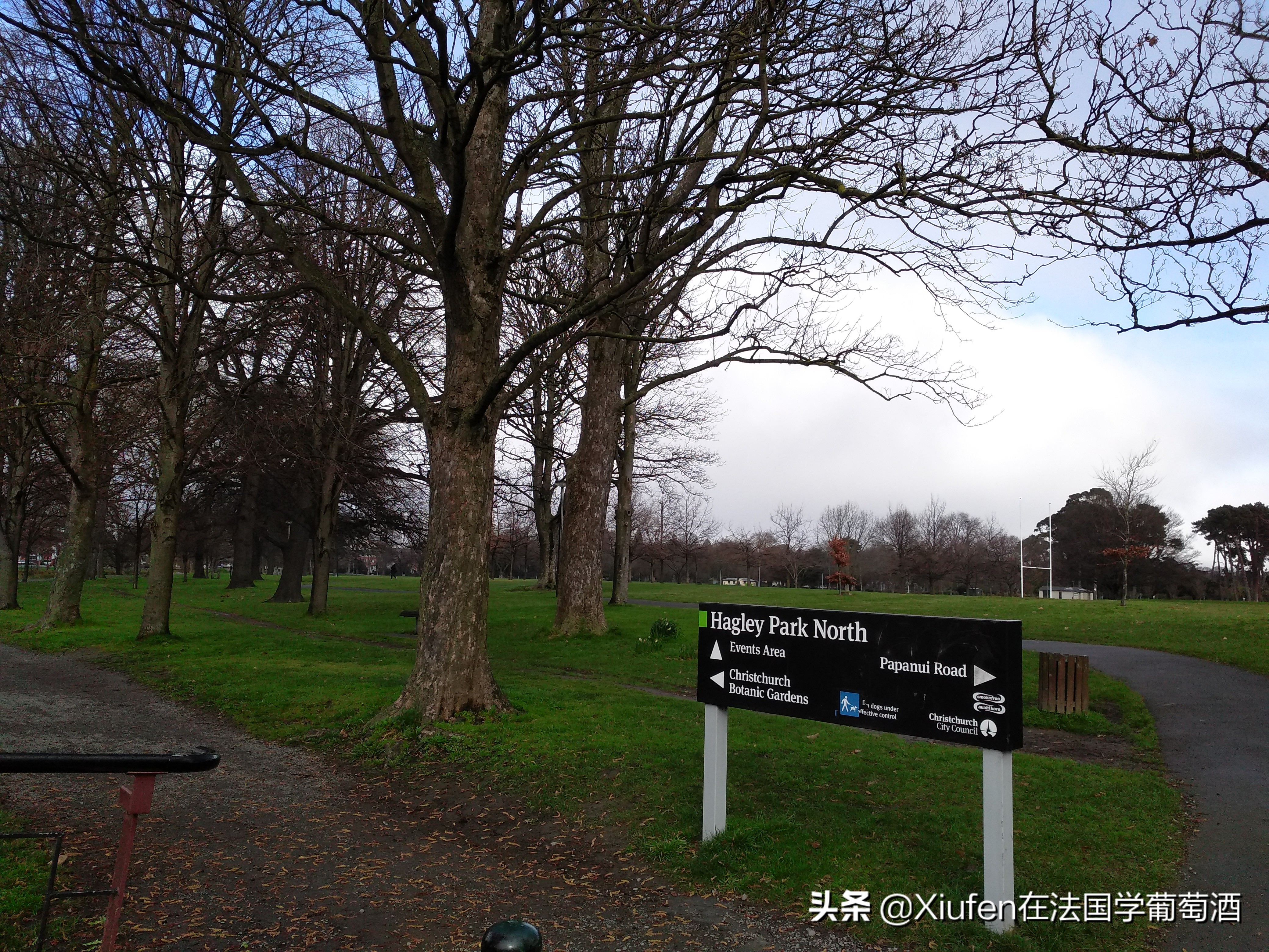 新西兰基督城城市风景,新西兰基督城风景漫步