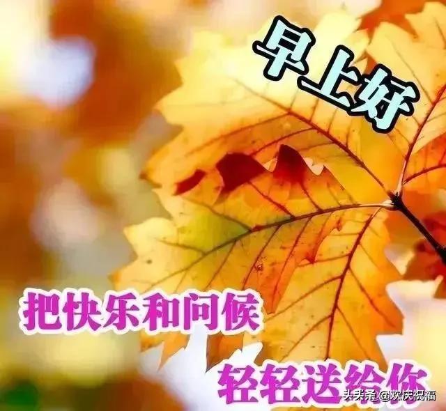 微信早晨最新的早安问候祝福短句,早晨好问候暖心短句祝福图片