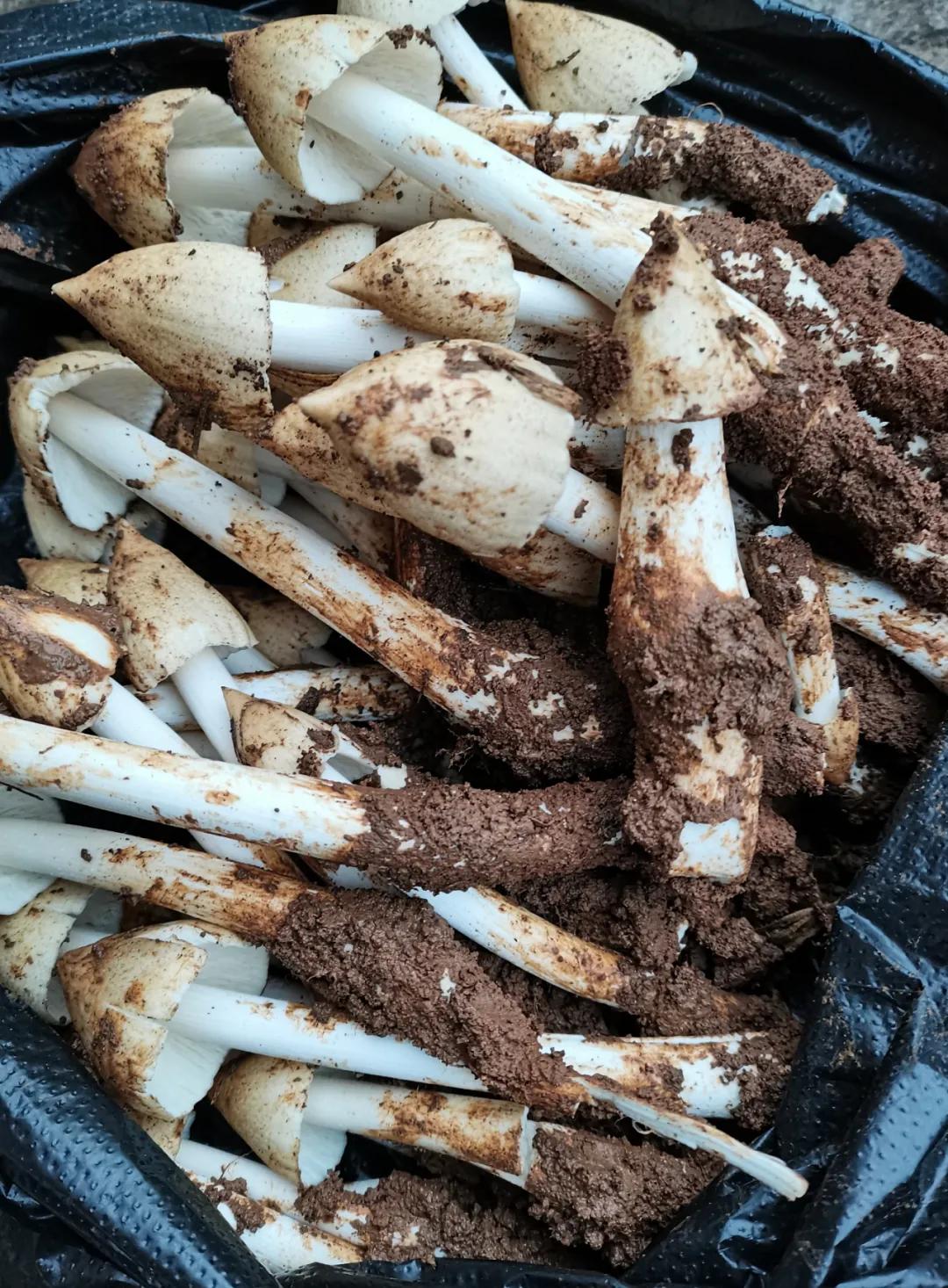 一声闷雷歌词,一声声闷雷