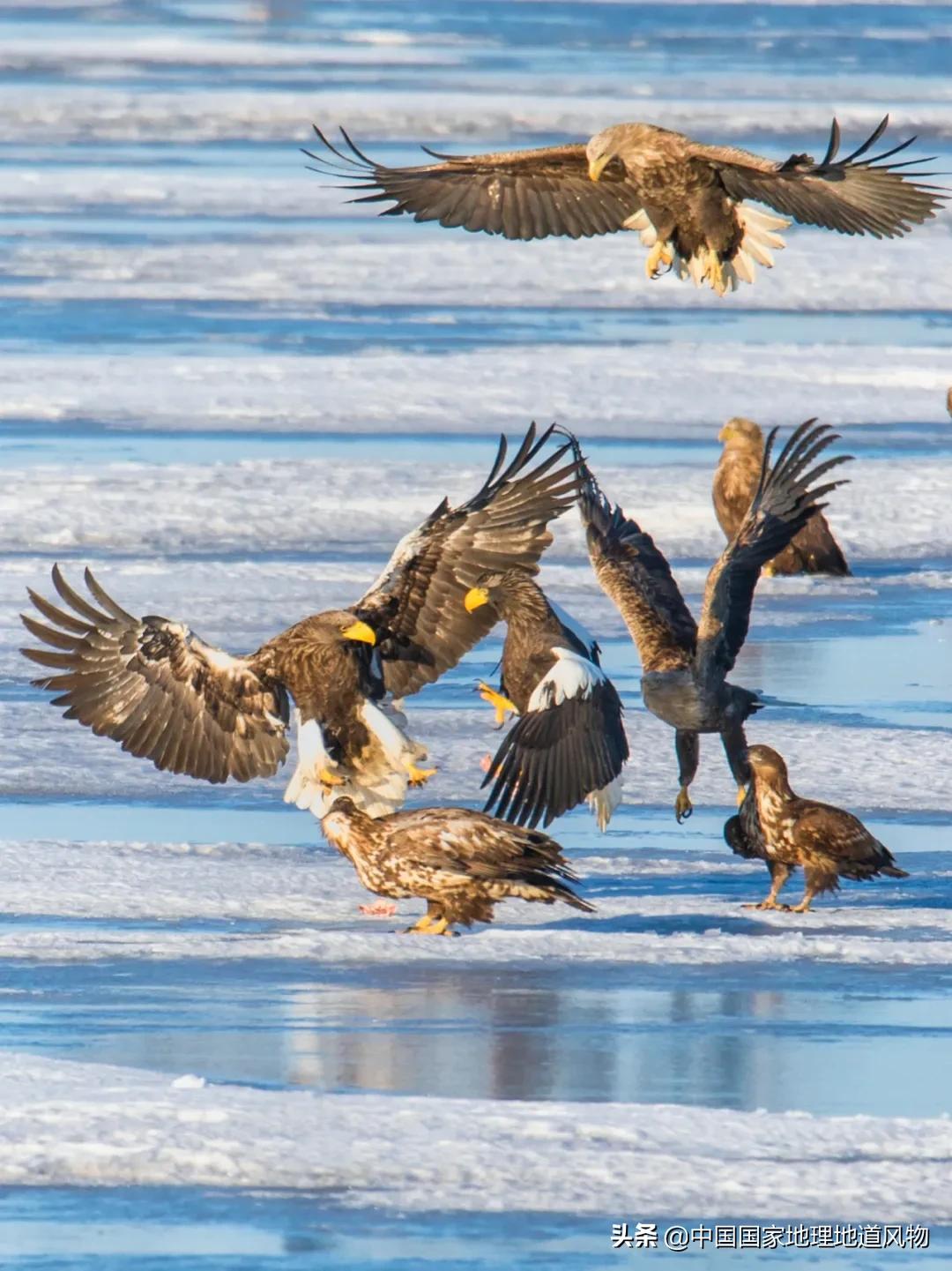 中国五大国家公园,中国十大私藏国家公园