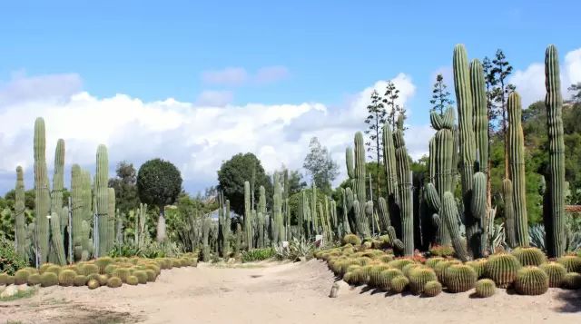 这是最值得收藏的旅行清单，顺着24节气，带娃游遍中国