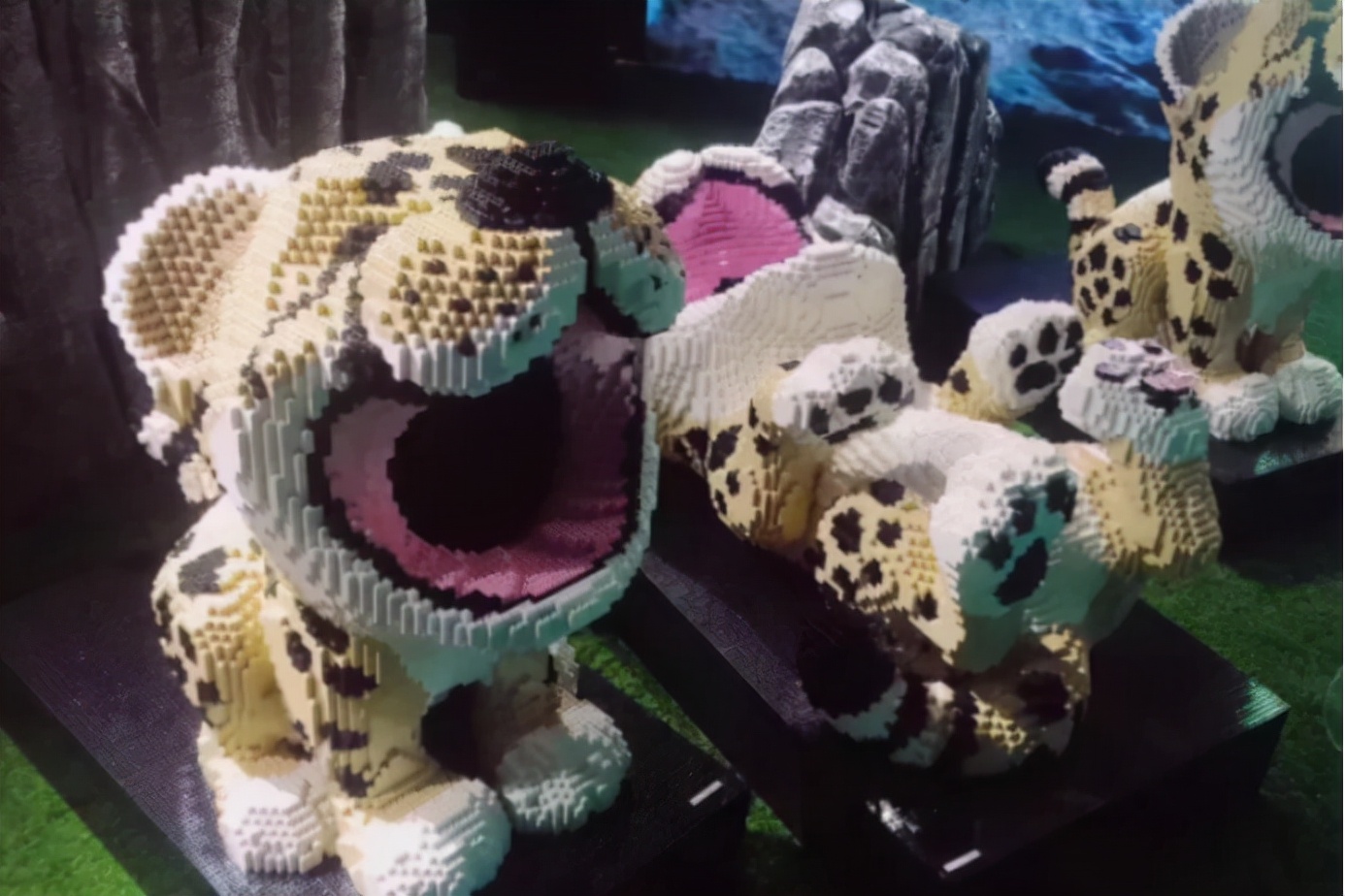 足球合同中的特殊条款,足球球员合同条款是什么