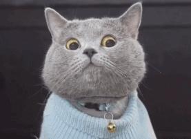 偷懒绝招教学视频,怎么快速提取ppt图片