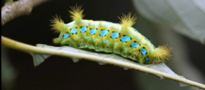 小时候的夏天农村夜晚,儿时夏天的记忆