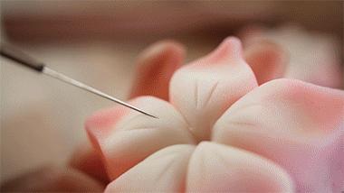 和菓子日本美食,日本的甜品和果子