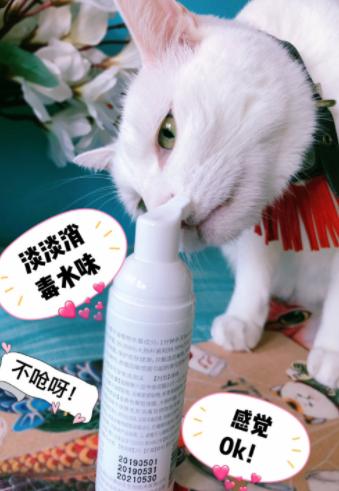 小宠肤可安怎么给猫咪洗澡,肤可安猫咪