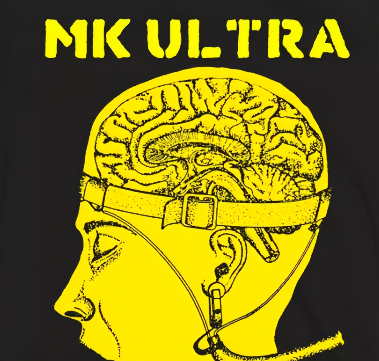 电击大脑实验,人性电击实验真实事件