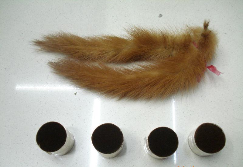 枪打黄鼠狼泡药酒，四川一男子被判刑！黄鼠狼为什么受保护？