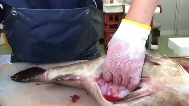 月薪三万顶级厨师,日本顶级厨师处理三文鱼