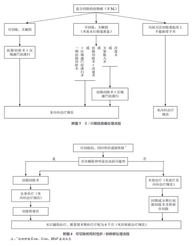 中国结直肠癌诊疗规范（2017年版）
