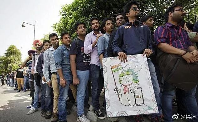 国外黄牛出售,国外黄牛和中国黄牛