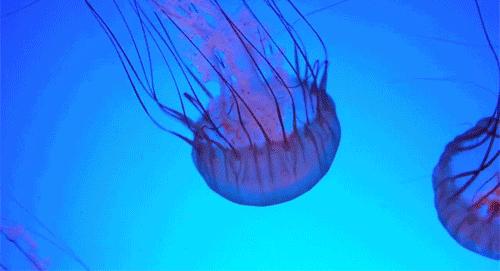 快手抖音同款店铺,抖音快手的大牌衣服是正品吗