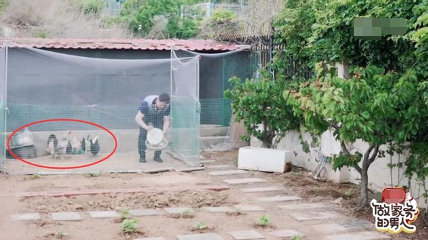 张继科豪宅别墅,张继科家的别墅有多大