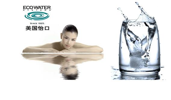 反渗透净水器十大品牌排名有哪些,厨下式净水器十大品牌哪个质量好