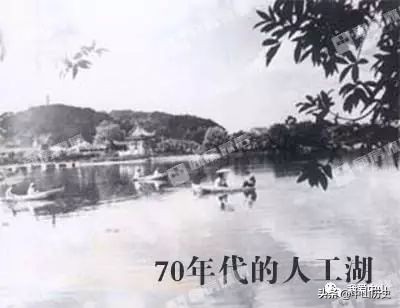 中山逸仙湖公园老名字,中山逸仙湖公园图景