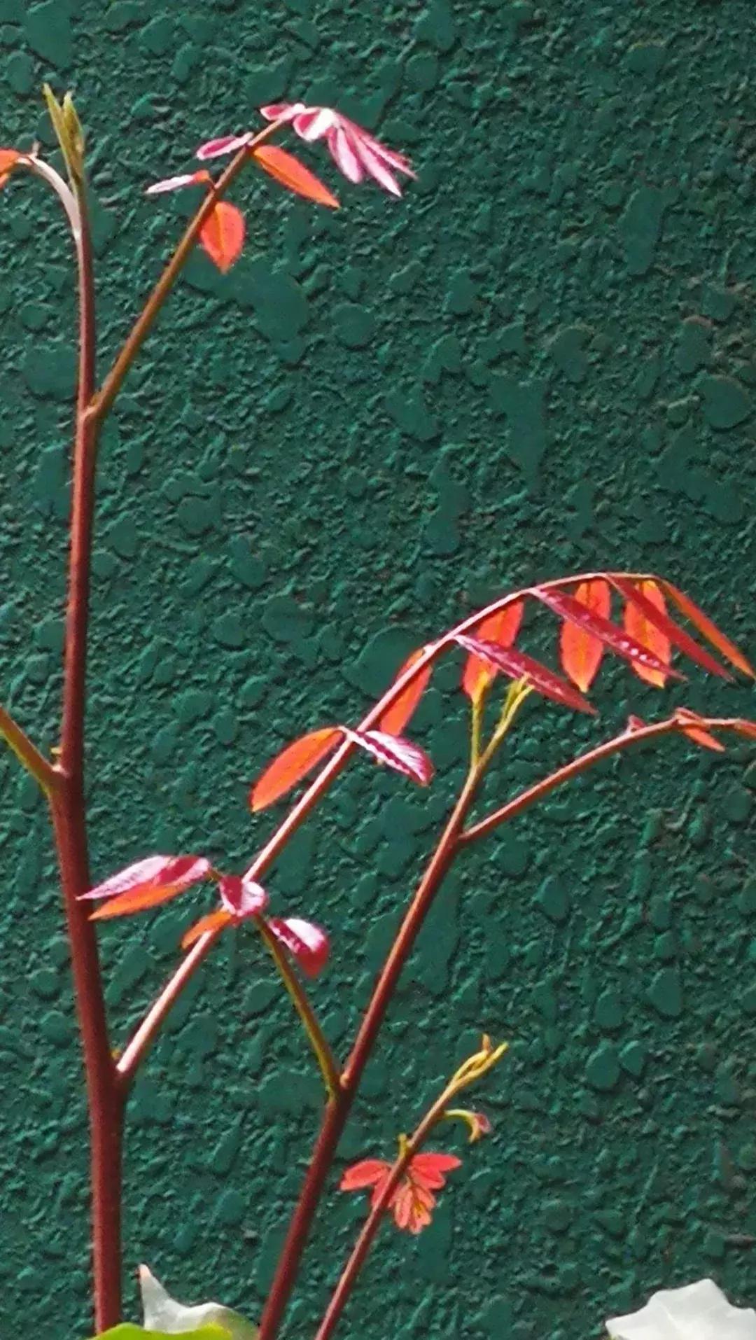 中国历史最高水平40首古诗,千古绝唱十首最经典情感古诗词