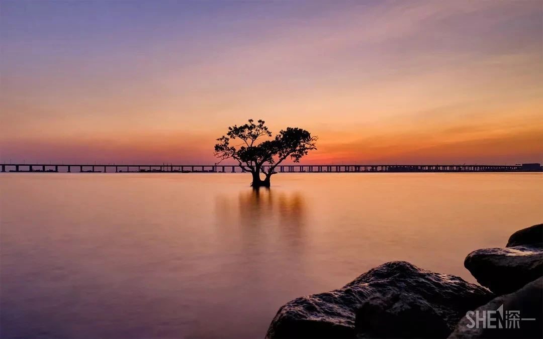 坐地铁1号线攻略,深圳1号线游玩攻略免费