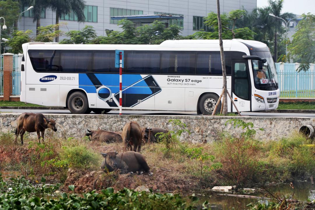 越南真实情况怎么样,越南怎么样值得去吗