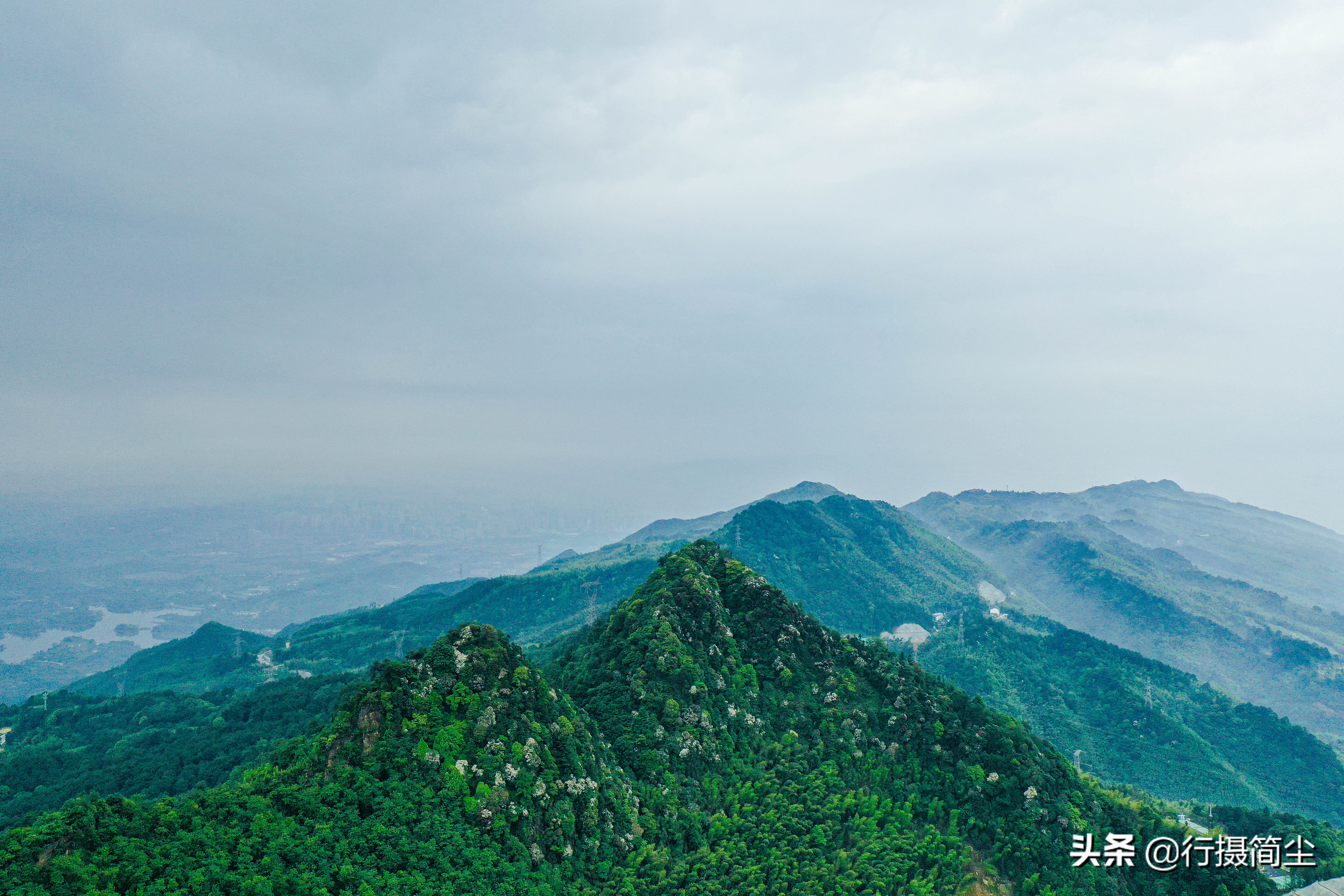 永川茶山竹海，茶山含情，竹海溢笑