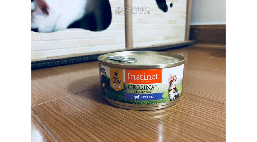 猫咪的主食罐推荐,k9猫咪主食罐头测评