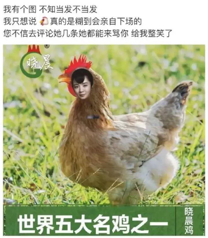 王晓晨和江疏影 (王晓晨与江疏影)