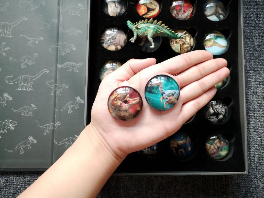 适合孩子看的恐龙科普书,适合5岁孩子看的恐龙科普书