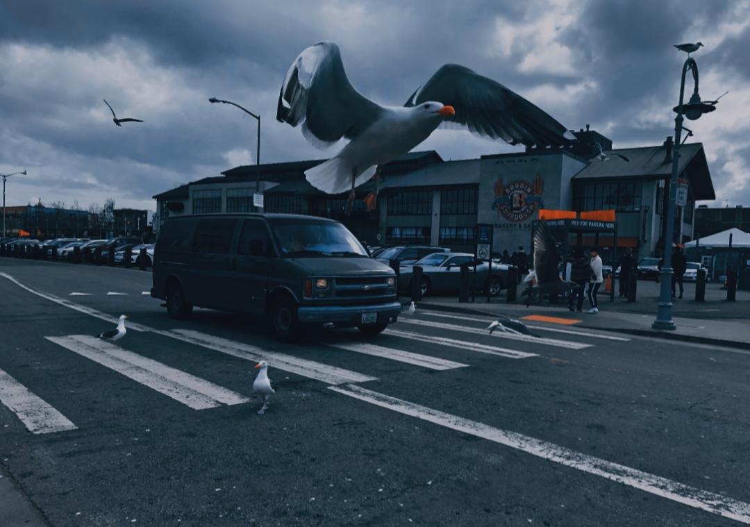 ins风暗黑小众照片,暗黑风ins图