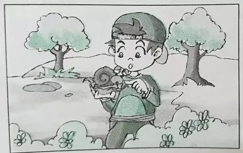 一年级打电话看图写话例文,看图写话小蜜蜂采花蜜例文