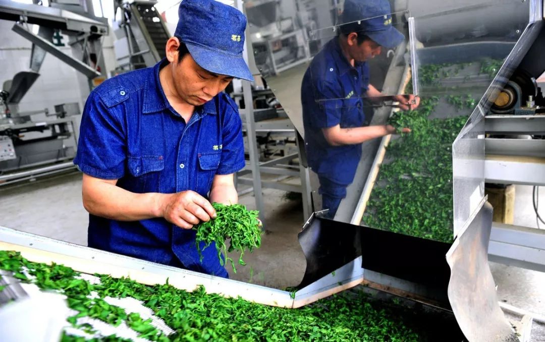 农业失败案例及解析,农业案例分析及解读