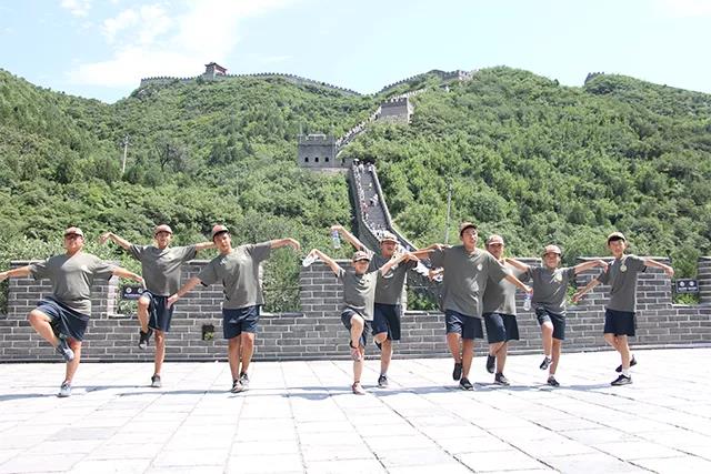 卓训教育是什么,卓训教育最新视频