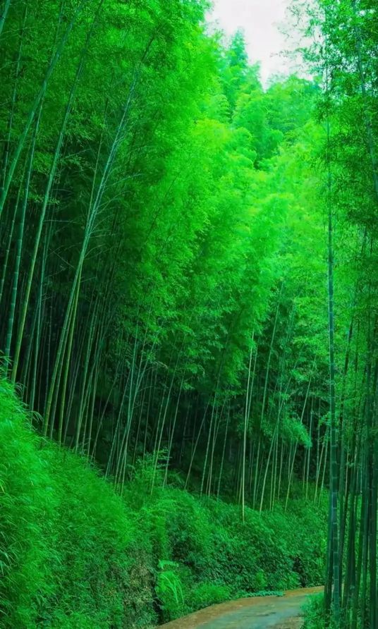 一个“道”字，让中华文化站在了世界文明的最高点