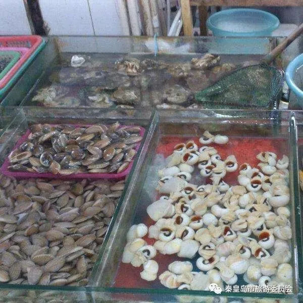 想要在秦皇岛吃到又便宜又新鲜的海鲜,就来这里!实惠不坑人