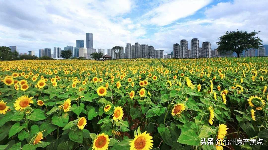 福州最新规划cbd,福州最新cbd消息