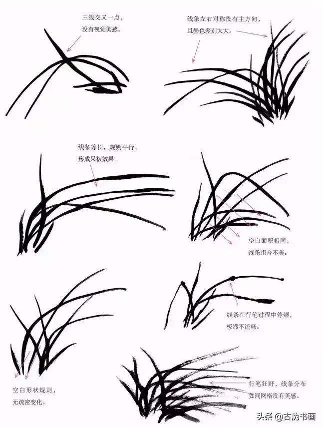 国画兰花技法讲解视频,徐湛国画兰花技法教学