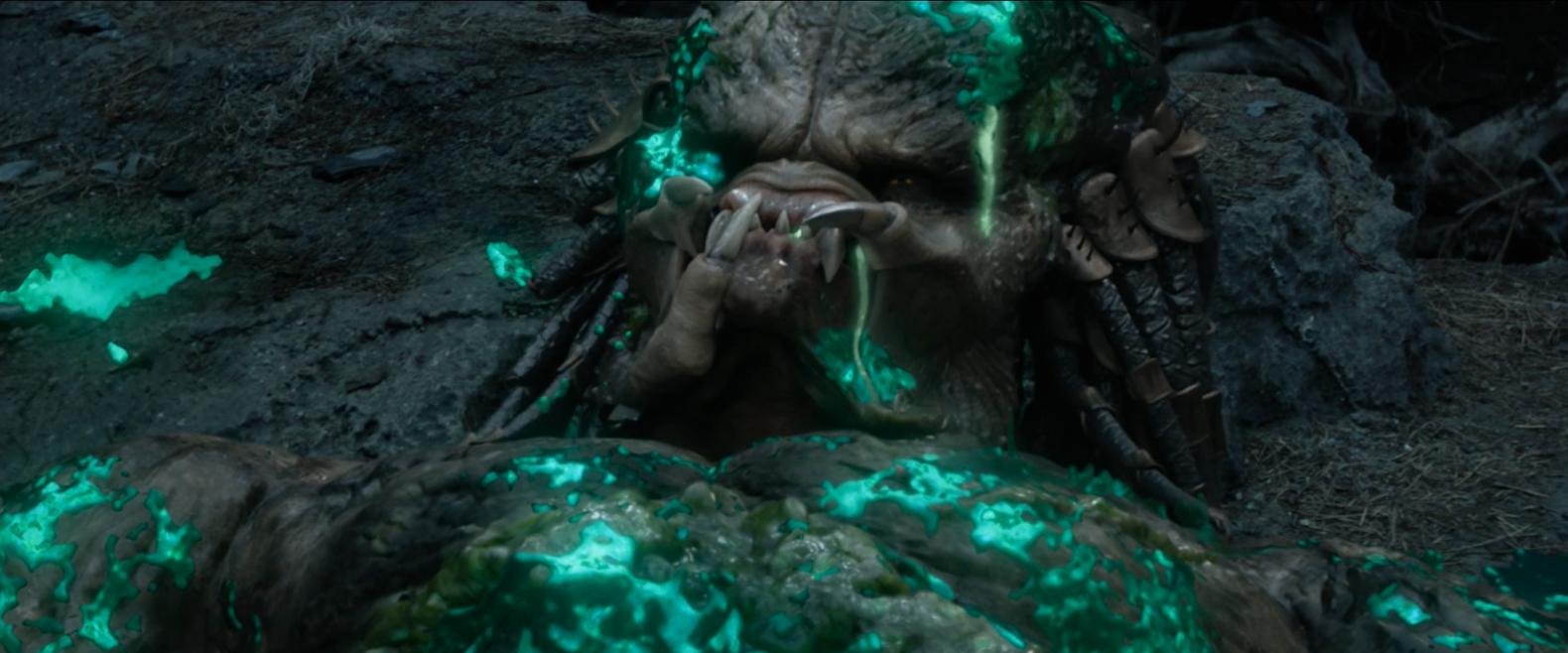 铁血战士系列解析,铁血战士形态全部解析